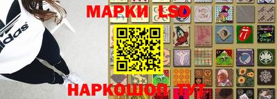 гидропоника Гусев