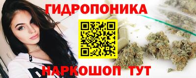гидропоника Гусев
